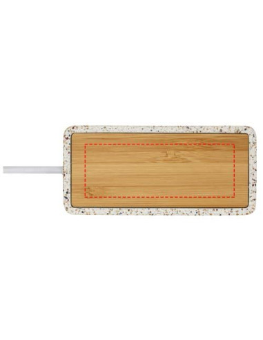 Hub USB 2.0 Terrazzo