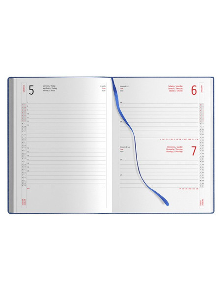 Agenda giornaliera PB239