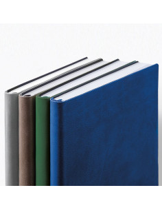 Agenda giornaliera Maxi PB308 2