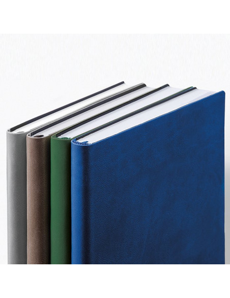 Agenda giornaliera Maxi PB308