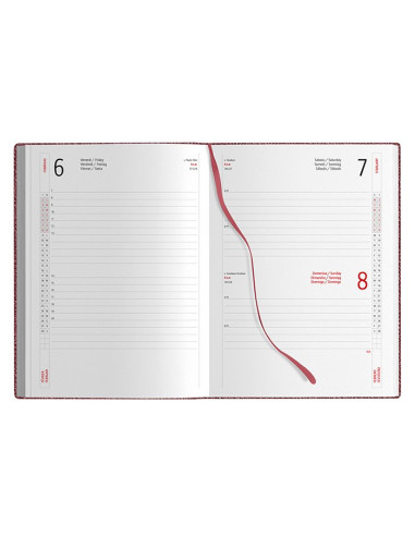Agenda giornaliera PB261