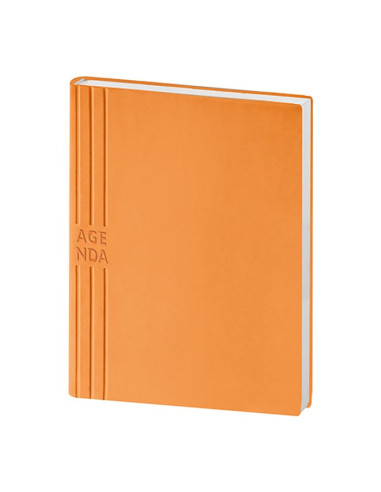 Agenda giornaliera PB206