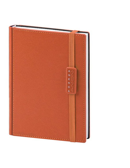 Agenda giornaliera PB278