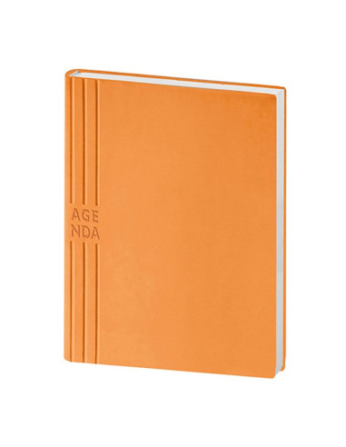 Agenda giornaliera in TAM PB240