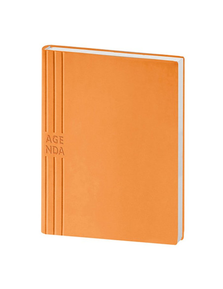 Agenda giornaliera in TAM PB240