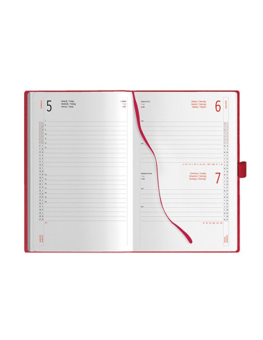 Agenda giornaliera PB290