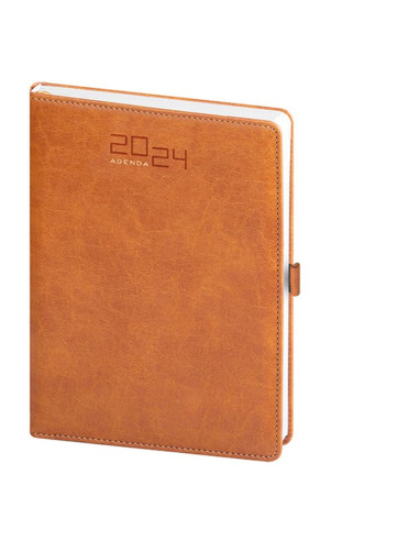 Agenda giornaliera PB290