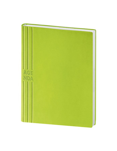 Agenda giornaliera in TAM PB247