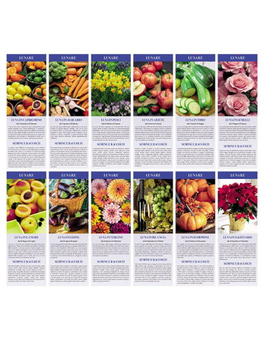 Calendario Illustrato Orto e Giardino PA152