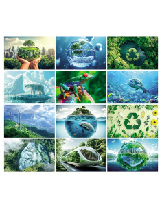 Calendario ECOLOGIA 2026 PA091