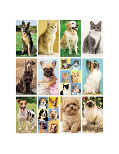 Calendario Illustrato Cani e Gatti PA108