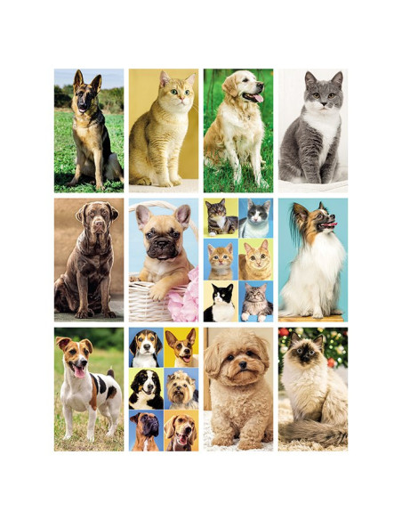 Calendario Illustrato Cani e Gatti PA108