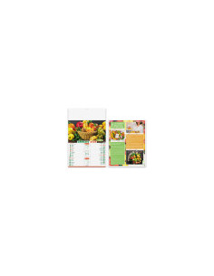 Calendario Illustrato Frutta e Verdura PA146 2