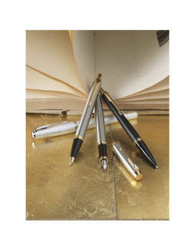 Parker IM – Penna stilografica – 107022